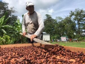 Chocolate tour